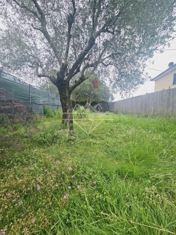 casa indipendente in vendita a Luni in zona Isola