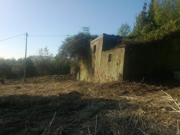 casa indipendente in vendita a Luni