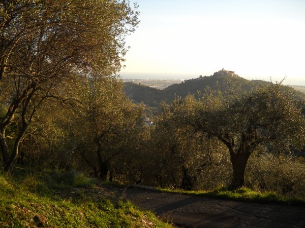 terreno agricolo in vendita a Luni in zona Casano