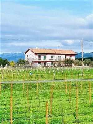 appartamento in vendita a Luni