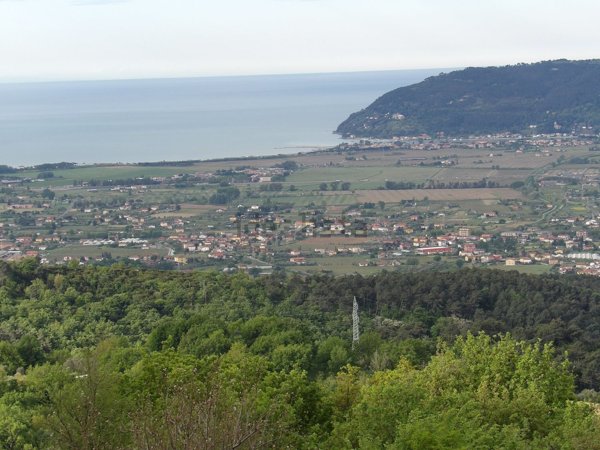 pentavano in vendita a Luni