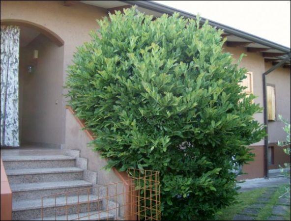 appartamento in vendita a Luni