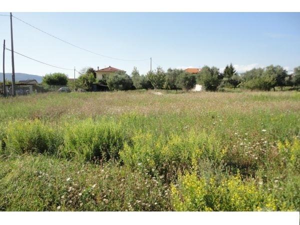 terreno edificabile in vendita a Luni