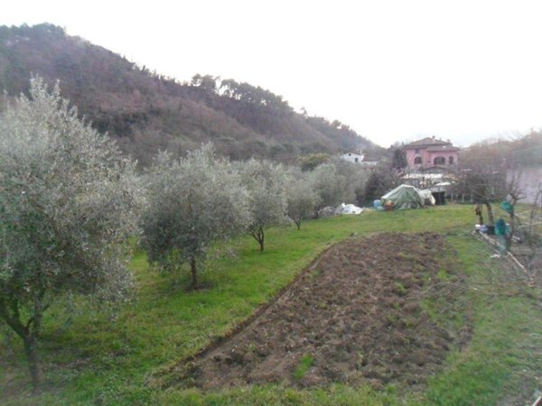 appartamento in vendita a Luni in zona Casano