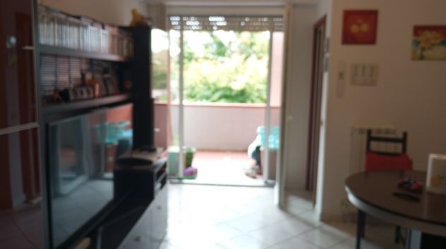 appartamento in vendita a Luni