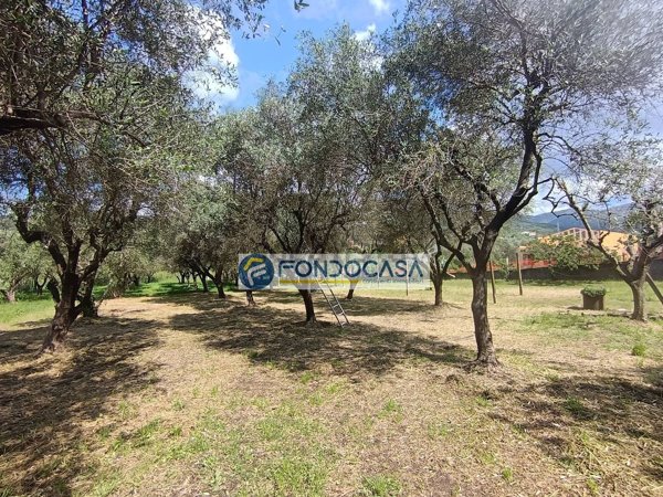 casa indipendente in vendita a Luni in zona Nicola