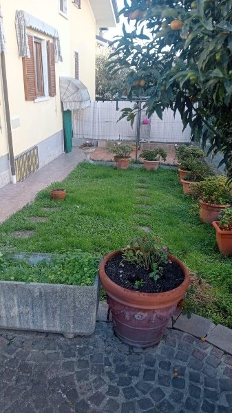 casa indipendente in vendita a Luni