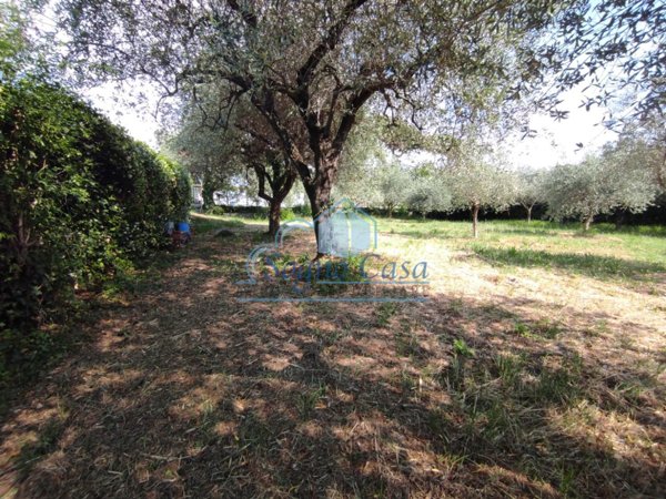 terreno agricolo in vendita a Luni