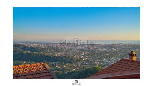 esavano in vendita a Luni in zona Nicola