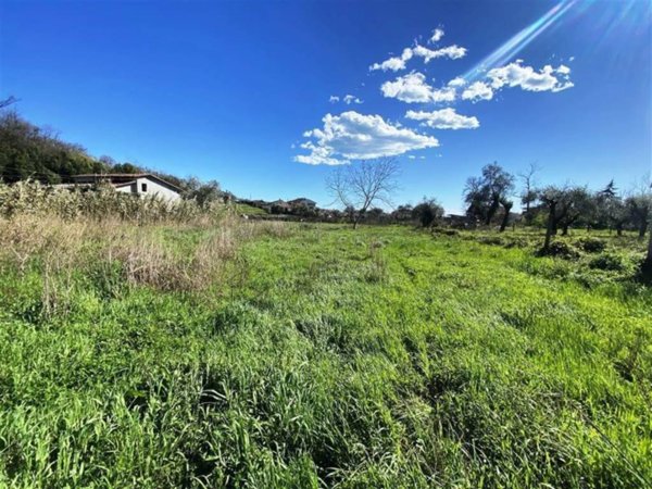 terreno agricolo in vendita a Luni in zona Casano