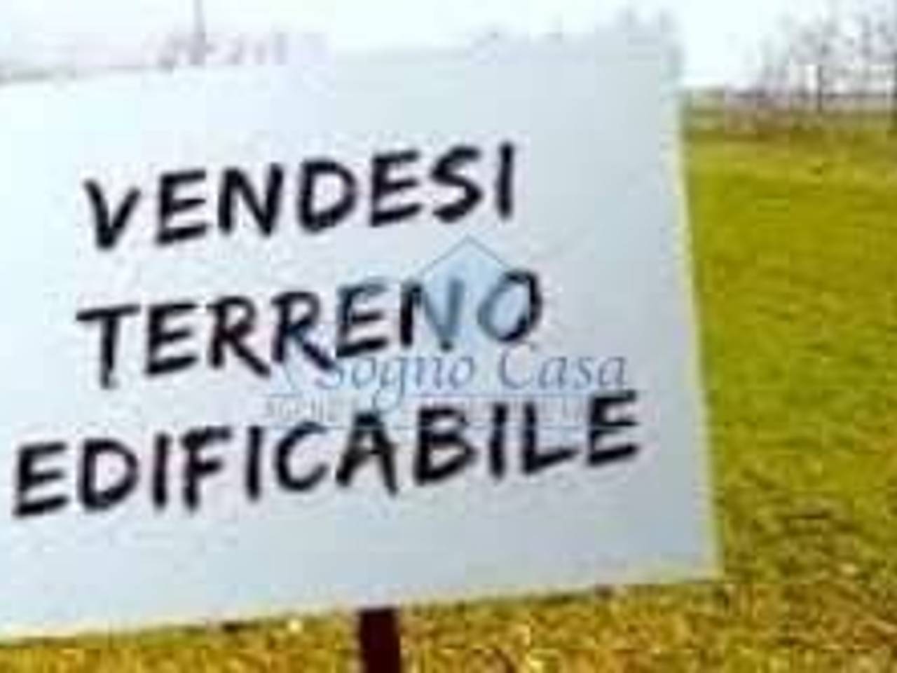 negozio in vendita a Luni