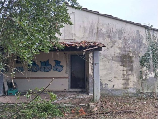 casa indipendente in vendita a Luni