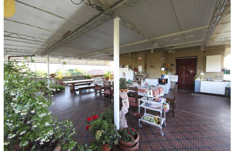 casa indipendente in vendita a Luni