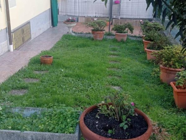 casa indipendente in vendita a Luni