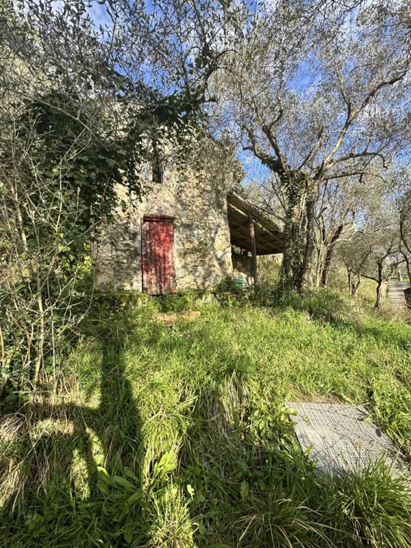 terreno agricolo in vendita a Luni in zona Casano