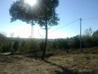 appartamento in vendita a Luni