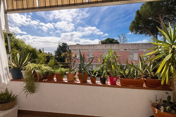 appartamento in vendita a Luni