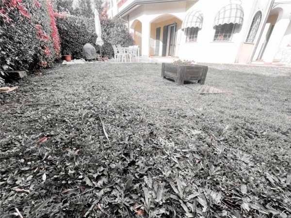 casa indipendente in vendita a Luni in zona Dogana