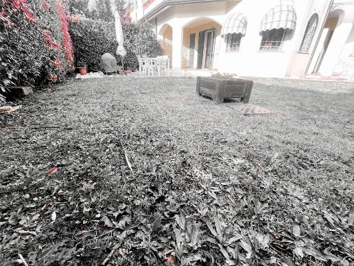 casa indipendente in vendita a Luni in zona Dogana