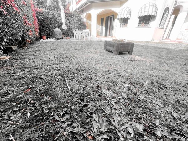 casa indipendente in vendita a Luni in zona Dogana