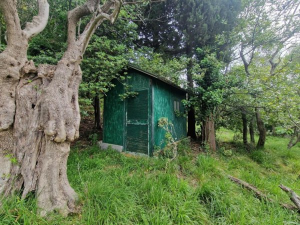 terreno agricolo in vendita a Luni in zona Casano