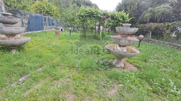 casa indipendente in vendita a Luni