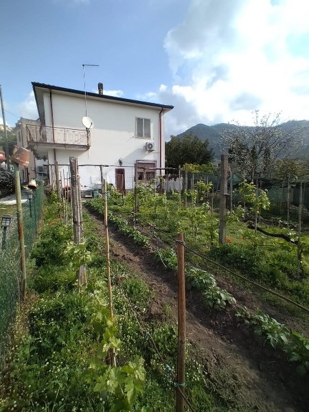 casa indipendente in vendita a Luni in zona Isola