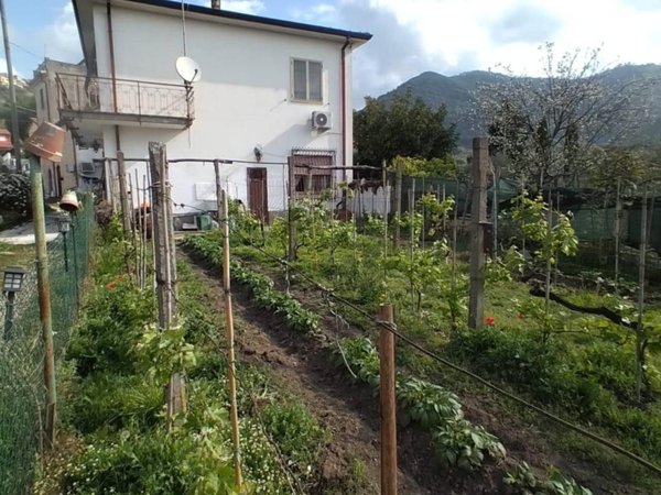 casa indipendente in vendita a Luni in zona Isola