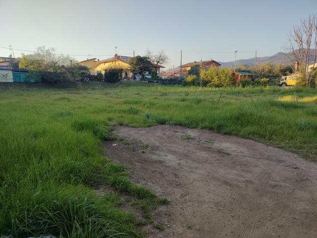 terreno agricolo in vendita a Luni
