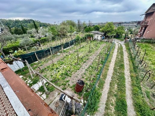 casa indipendente in vendita a Luni in zona Isola