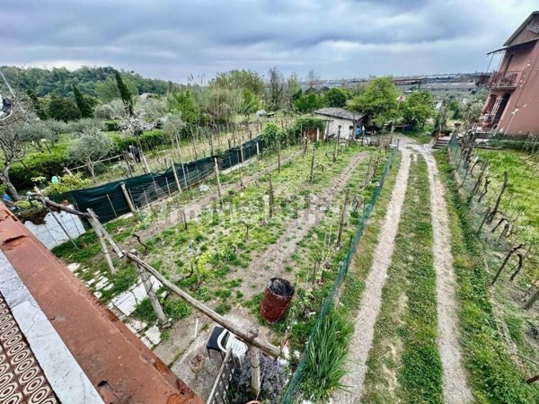 esavano in vendita a Luni in zona Isola