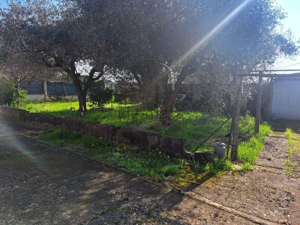 casa indipendente in vendita a Luni in zona Serravalle