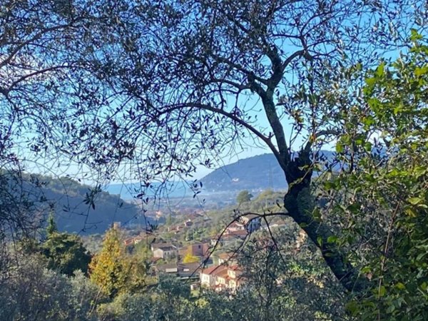 casa indipendente in vendita a Luni in zona Casano