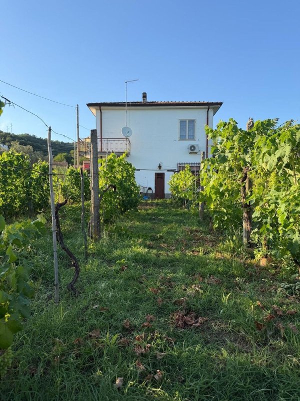 casa indipendente in vendita a Luni in zona Isola