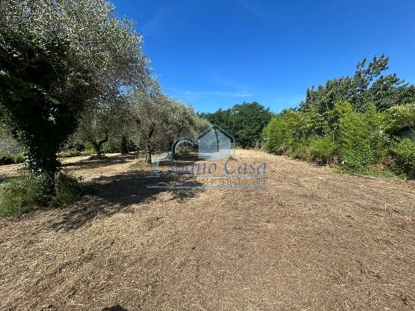 terreno edificabile in vendita a Luni in zona Isola