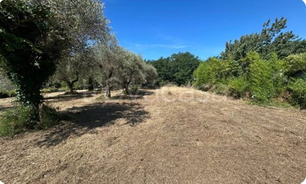 terreno agricolo in vendita a Luni in zona Isola
