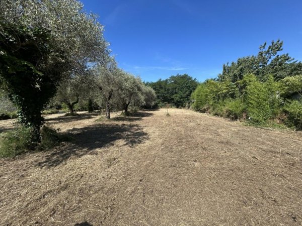 casa indipendente in vendita a Luni in zona Isola
