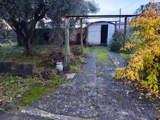 casa indipendente in vendita a Luni in zona Dogana