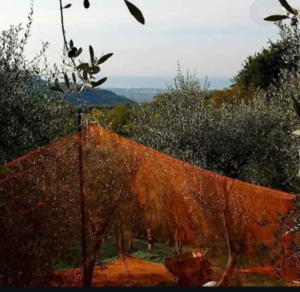 immagine annuncio 0 di 9