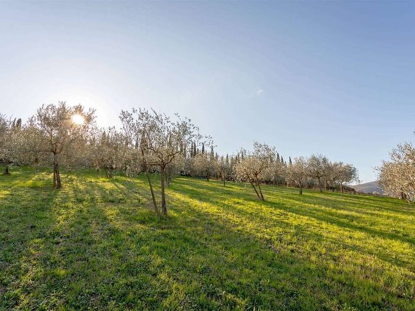 terreno in vendita a Luni in zona Casano