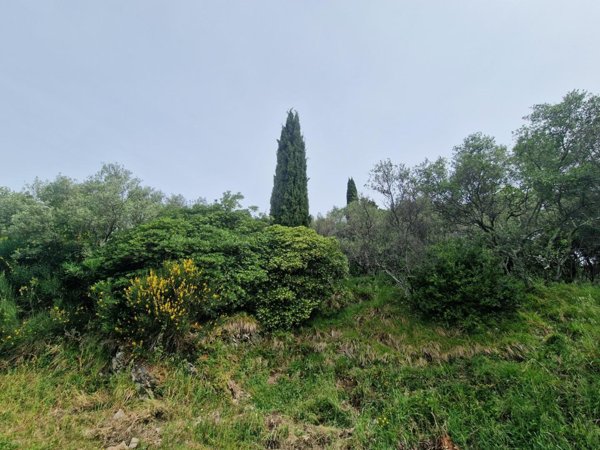 terreno agricolo in vendita a Luni in zona Casano