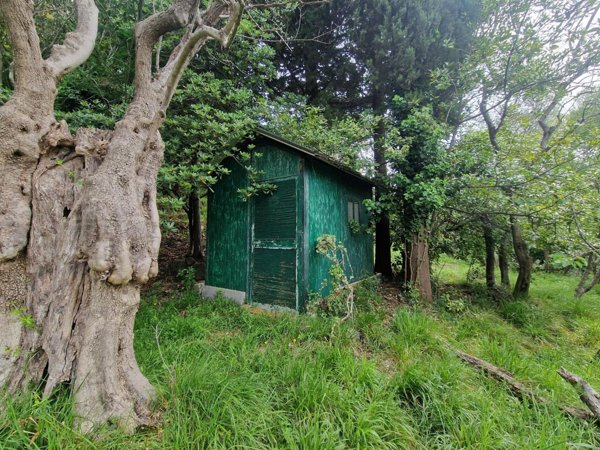 terreno agricolo in vendita a Luni in zona Casano