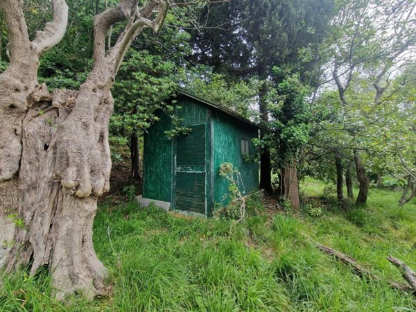 terreno agricolo in vendita a Luni in zona Casano