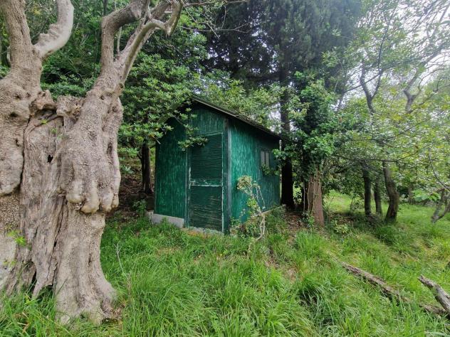 terreno agricolo in vendita a Luni in zona Casano