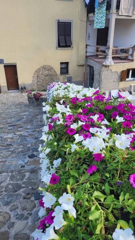 casa indipendente in vendita a Pignone