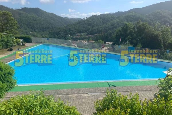 appartamento in vendita a Pignone