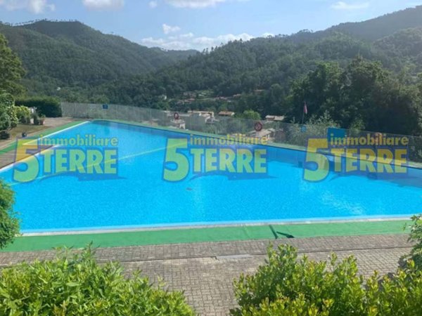 appartamento in vendita a Pignone