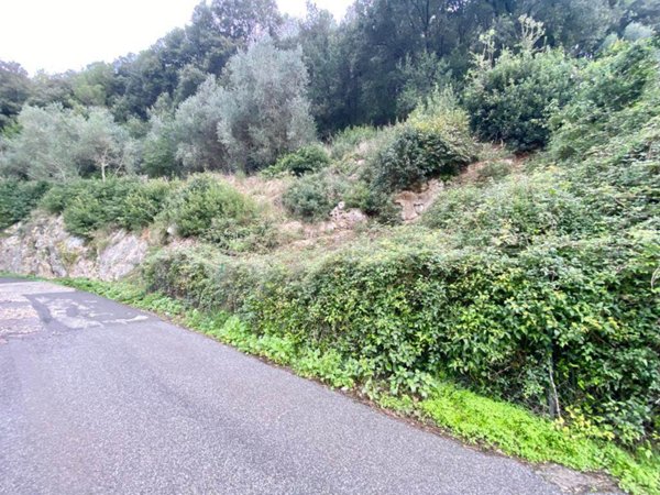 terreno agricolo in vendita a Portovenere in zona Le Grazie
