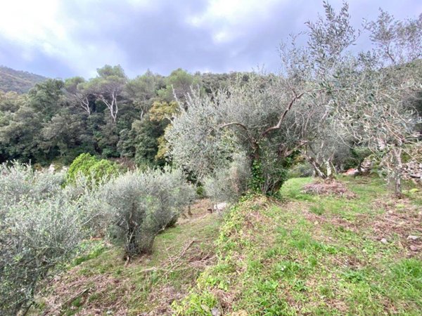 terreno agricolo in vendita a Portovenere in zona Le Grazie