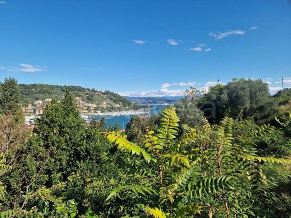 terreno agricolo in vendita a Portovenere in zona Le Grazie